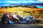Image for EXPERIENCE DUNEDIN